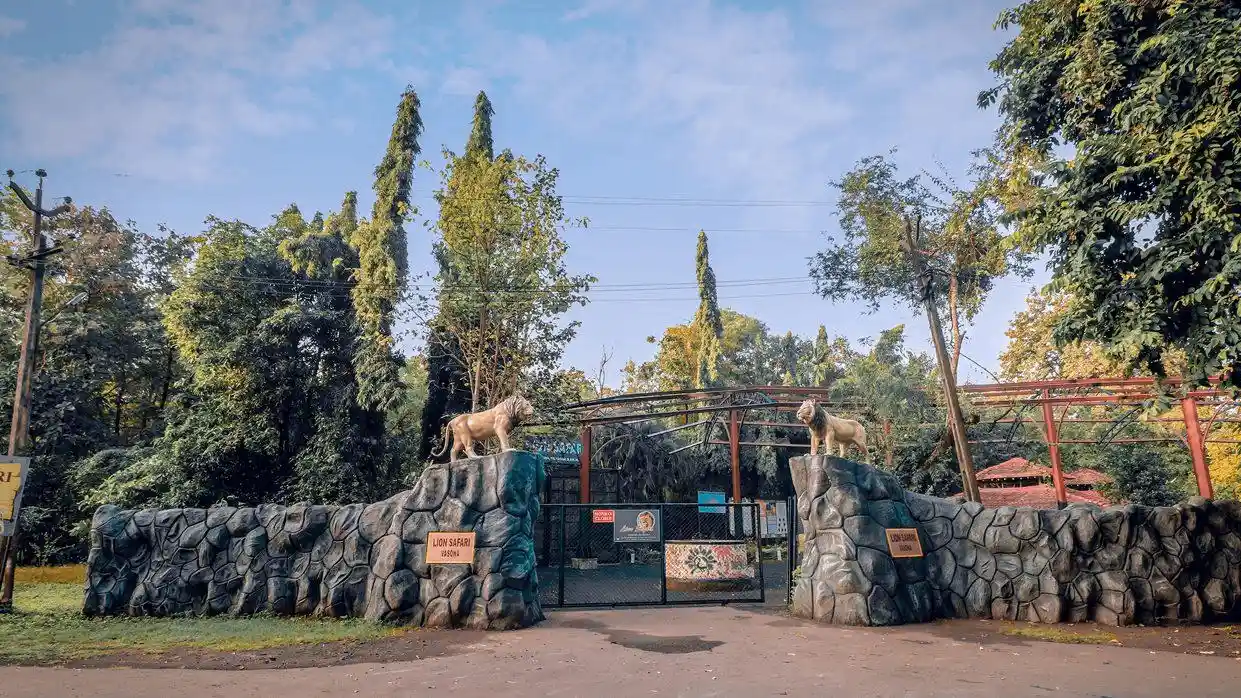 Vasona Lion Safari